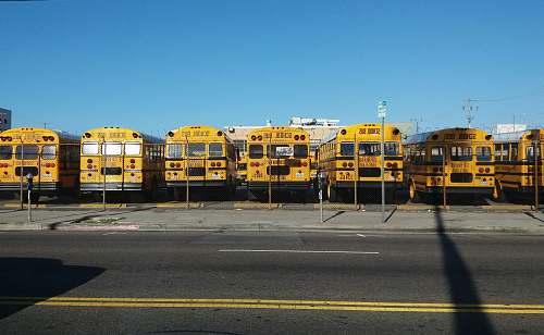 bus photo of yellow bus park on parking lot transportation